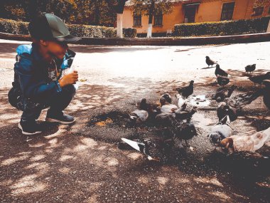 güvercinler çocuk yayınları