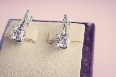 Taşlar Gümüş Küpe