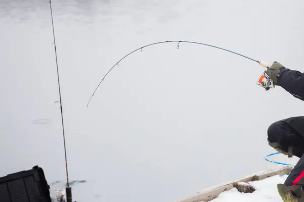 Pesca Truchas Río — Foto de Stock