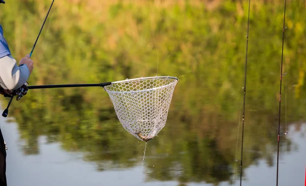 Pesca Truta Rio — Fotografia de Stock