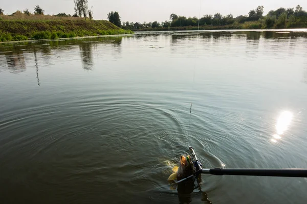 Boa Pesca Pegar Passatempo — Fotografia de Stock