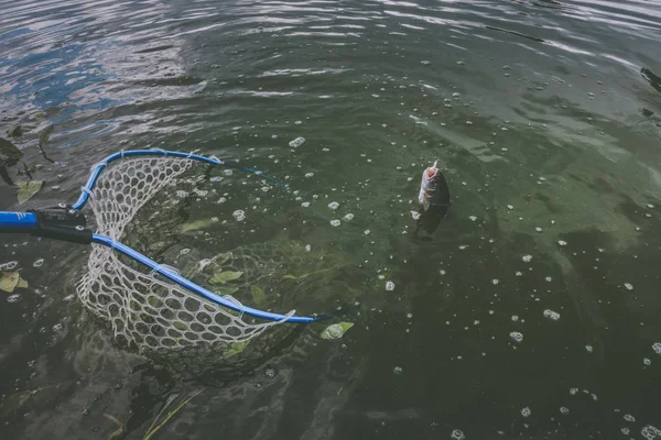 Pesca da truta no lago — Fotografia de Stock