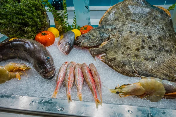 Fresh fish in the sea restaurant — Stock Photo, Image