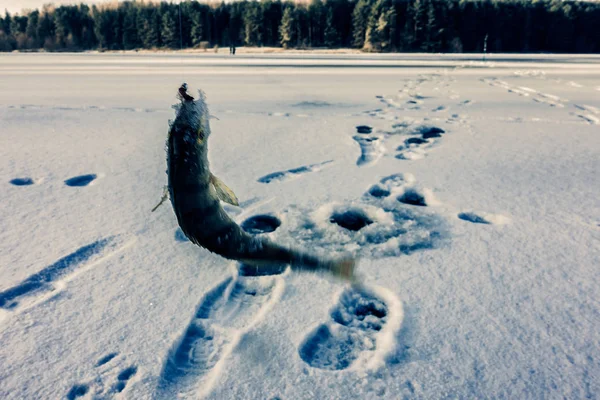 Hiver Passe Temps Pêche Sur Glace — Photo