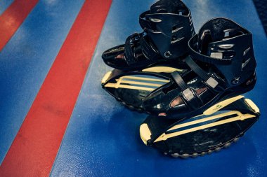 kangoo botları yakından atlar