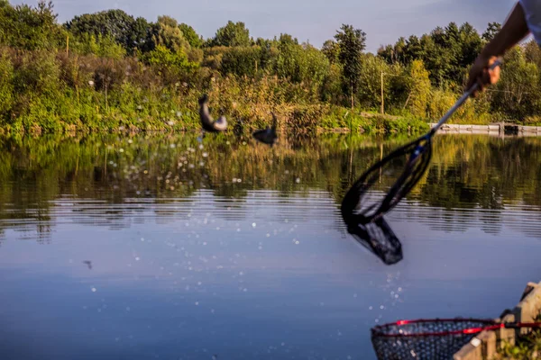 川のマス釣り — ストック写真