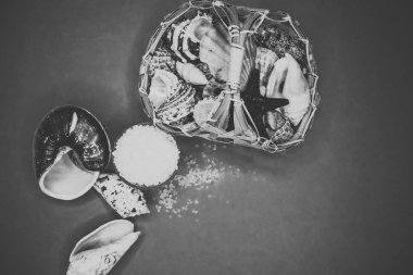 Kabukları ve deniz tuzu arka plan