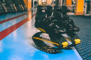 kangoo botları yakından atlar