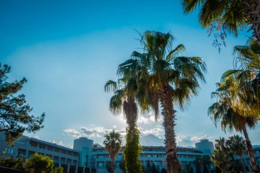 Deniz kenarındaki güzel resort peyzaj