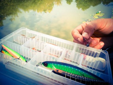 bir kutuiçinde balık için yem