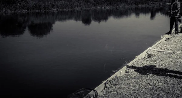 Pescador pegar truta arco-íris do lago — Fotografia de Stock