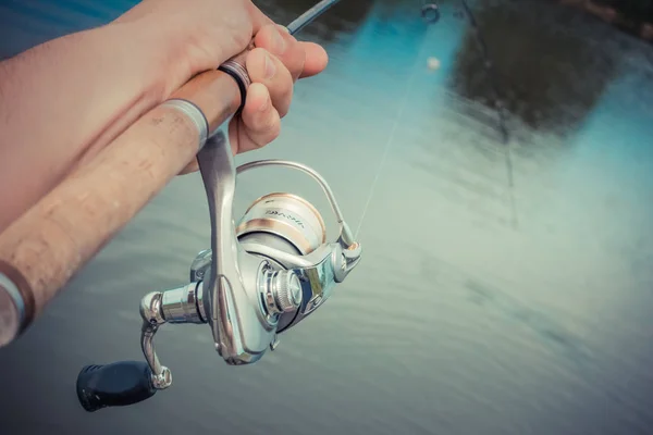 Gebied Vissen Forel Close — Stockfoto