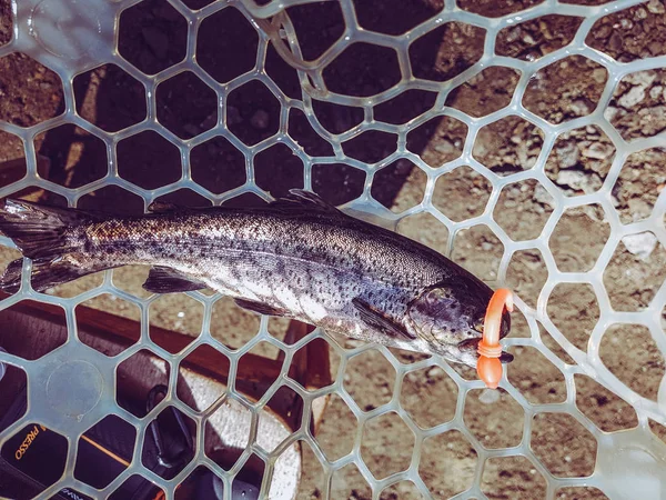 Fishing. Fisherman and trout. — Stock Photo, Image