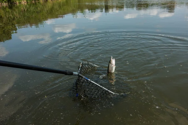 Pike halászat a tavon — Stock Fotó