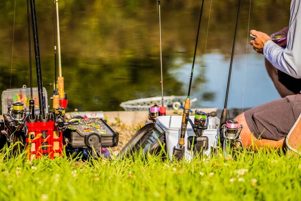 Pesca Truta Rio — Fotografia de Stock