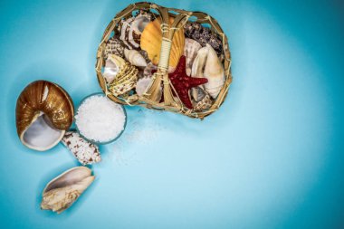 Kabukları ve deniz tuzu arka plan