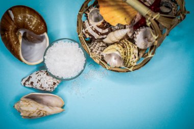 Kabukları ve deniz tuzu arka plan