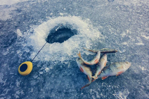 Ledový rybolov na jezeře — Stock fotografie