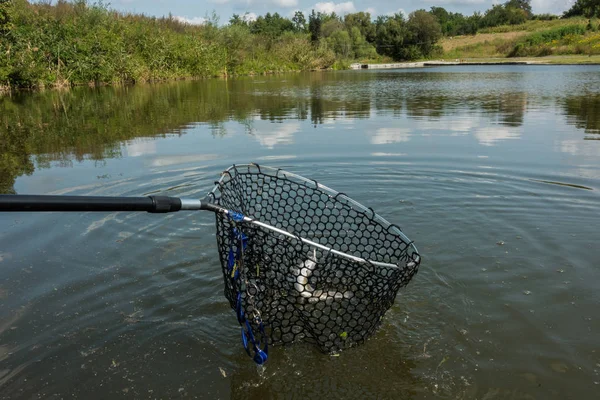 Pesca de lúcio no lago — Fotografia de Stock