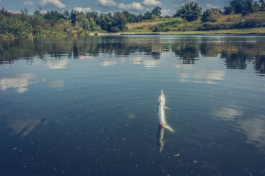 Gölde balık tutmak.