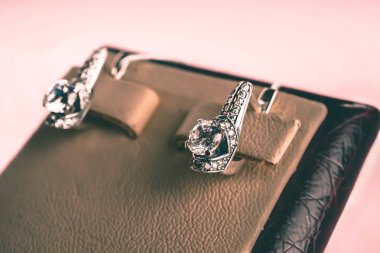 Taşlar Gümüş Küpe