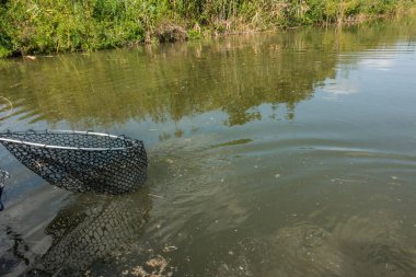 İyi balıkçılık yakalamak hobi 