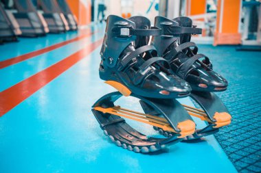 kangoo botları yakından atlar