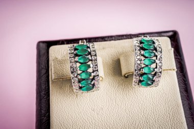 Taşlar Gümüş Küpe