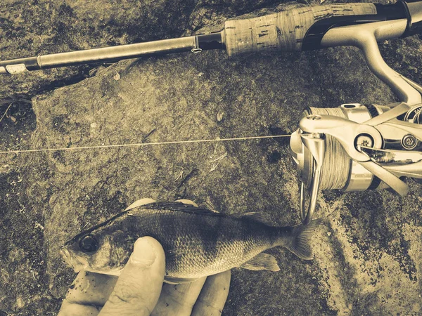 Der Fischer fing einen kleinen Fisch als Köder — Stockfoto