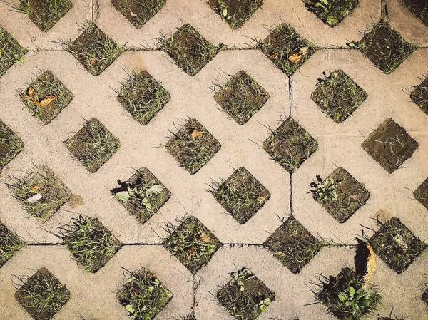 Bakgrunden betong med gräs — Stockfoto
