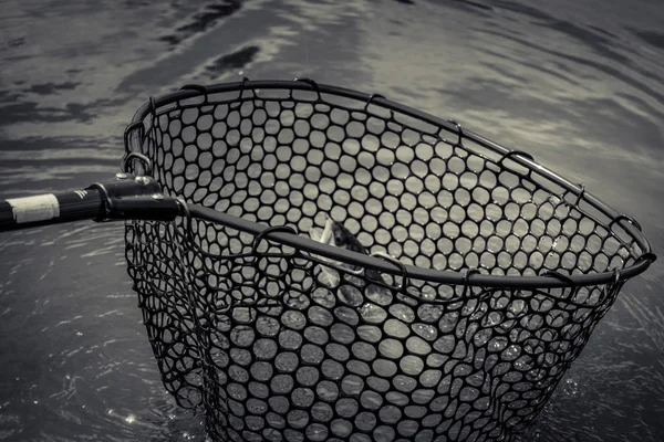 Τράουτ αλιεία στη λίμνη — Φωτογραφία Αρχείου