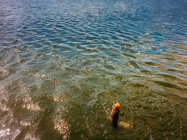 Pesca sul lago — Foto Stock