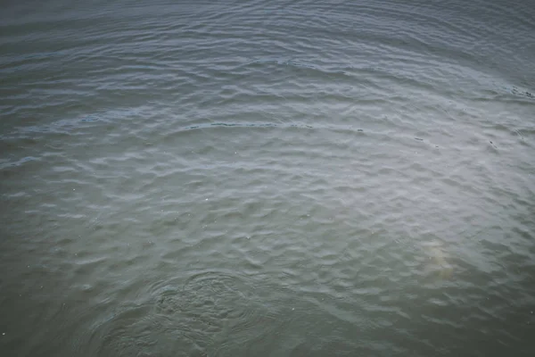 Pesca da truta no lago — Fotografia de Stock