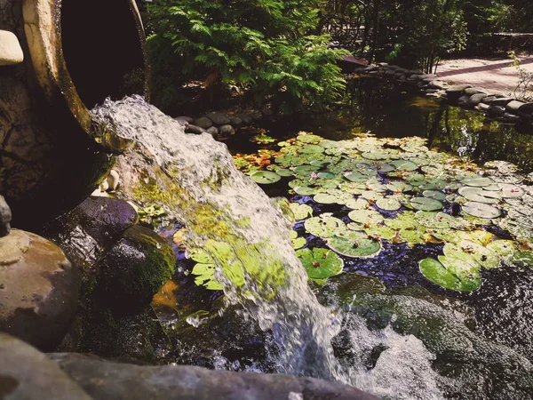 Cachoeira de um vaso velho — Fotografia de Stock