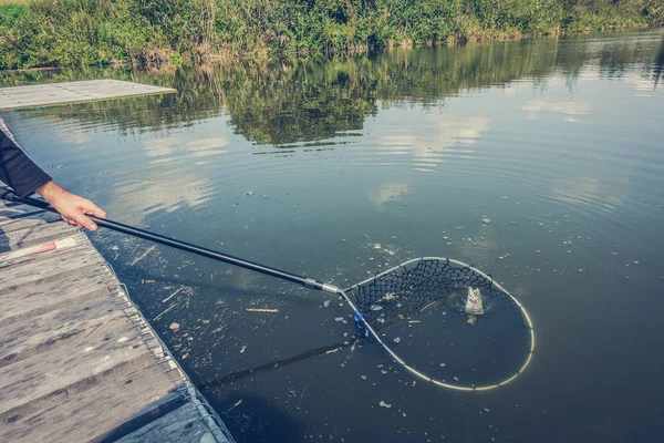 Pesca Truta Lago — Fotografia de Stock