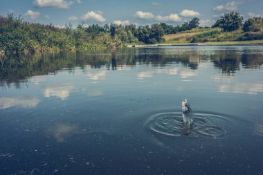 Gölde balık tutmak.