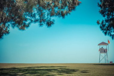 Bir sahil beldesinde yeşil çim