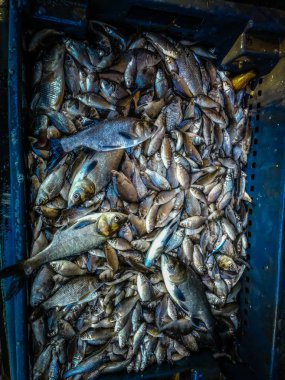 Bir balıkçı tema arka plan