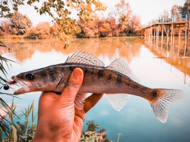 bir elinde bir göl kenarında balık yakaladı
