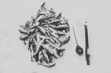 buz gelen kış balıkçılık