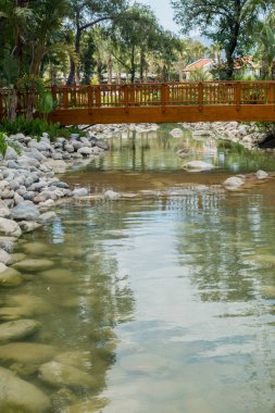 Kıyıdaki güzel hamak