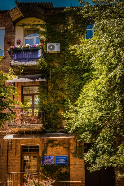Красивий Міський Зелений Балкон — стокове фото