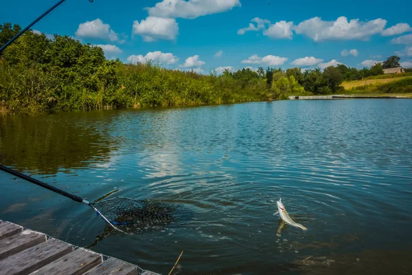 Fishing on the lake background — Stock Photo, Image