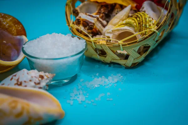 Conchas y fondo de sal marina — Foto de Stock