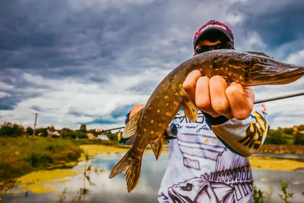 Pêche au brochet sur le lac — Photo