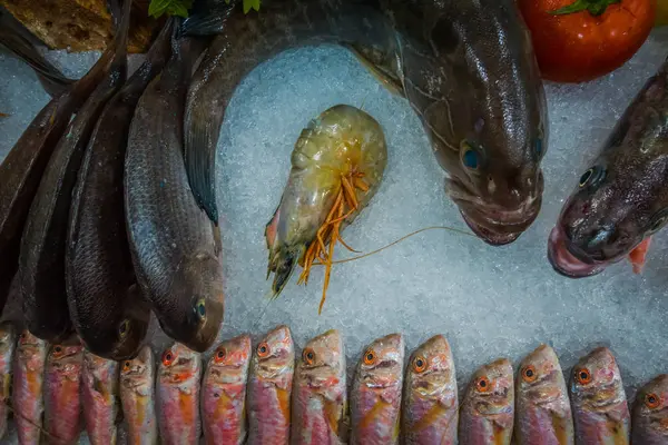 물고기와 해산물 얼음에 — 스톡 사진