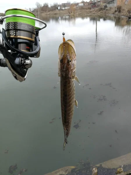 Pesca Lucio Lago — Foto de Stock