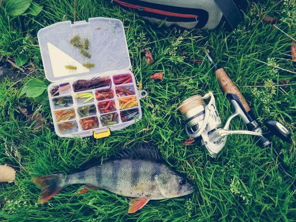 Concetto di pesca: pesce, canna da pesca, esca — Foto Stock