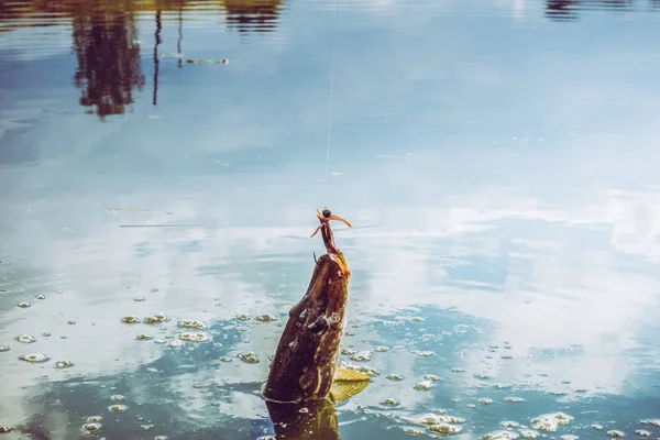 Pesca de lucio en el lago —  Fotos de Stock