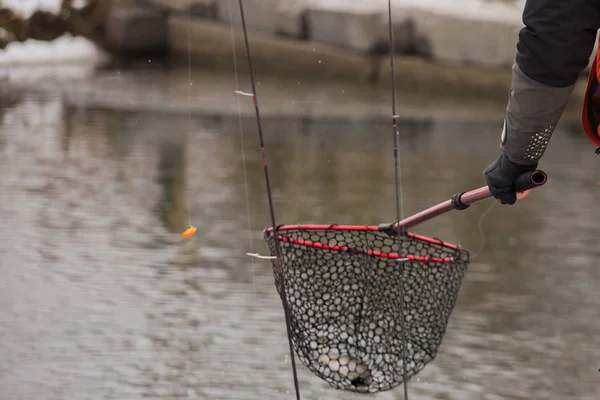 Pêche Truite Sur Rivière — Photo